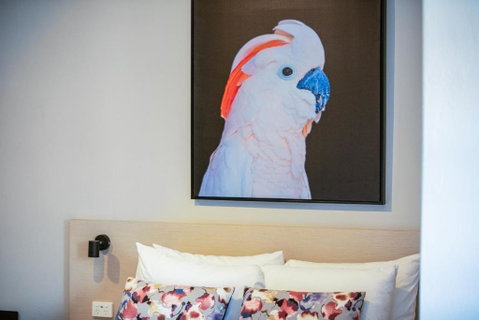 Nightcap At The Charles Hotel - Australian Directory 3
