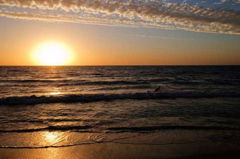 Ocean View Motel - Australian Directory 0