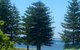 Ocean Vista Beach Stay - thumb 3