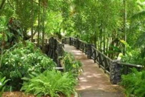 Paddington Pad With Back Deck And Free Car Space Close To Suncorp - Australian Directory 2