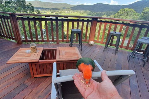 Paterson Skywalk - Australian Directory 3