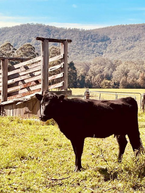 Peppercorns Riverside Farm Stay - Australian Directory 0