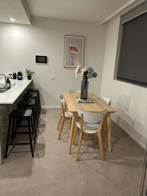 Plush Apartment On Mort - Australian Directory 2