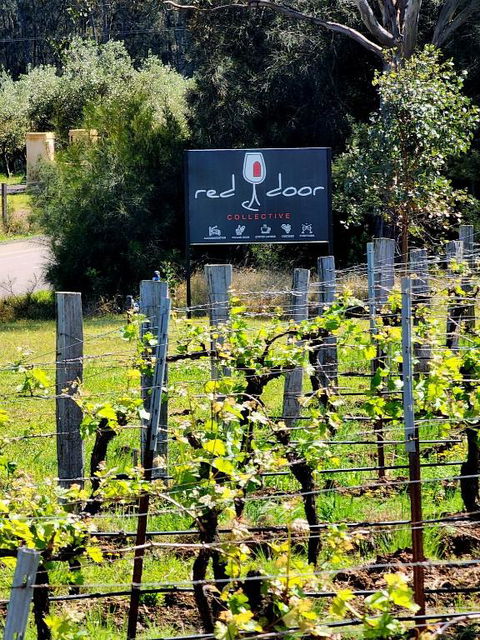 Red Door Collective - RDC Vineyard Estate, Luxury Adult Only Stay - Australian Directory 1