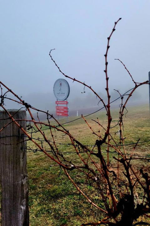 Red Door Collective - RDC Vineyard Estate, Luxury Adult Only Stay - Australian Directory 3