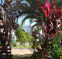 Asylum Cairns Hostel - Australian Directory