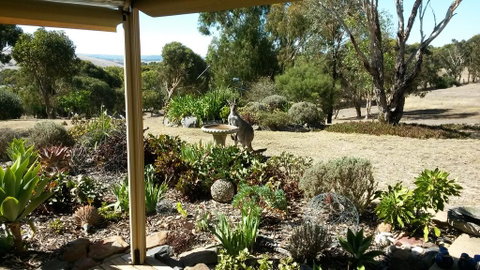 Austiny Bed And Breakfast Victor Harbor - Australian Directory 3