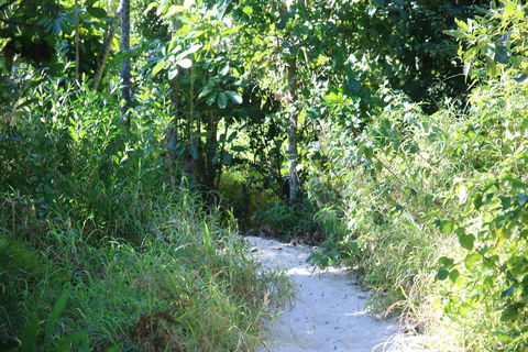 Backpackers Inn On The Beach - Australian Directory 2