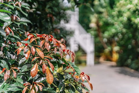 Balmoral Queenslander - Australian Directory 2