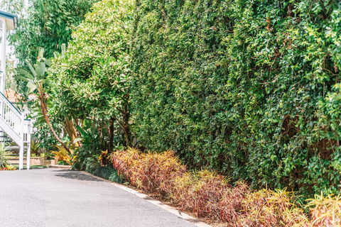 Balmoral Queenslander - Australian Directory 3