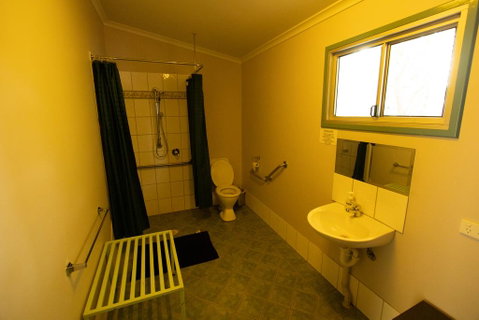 Banyan Tree - Australian Directory 1
