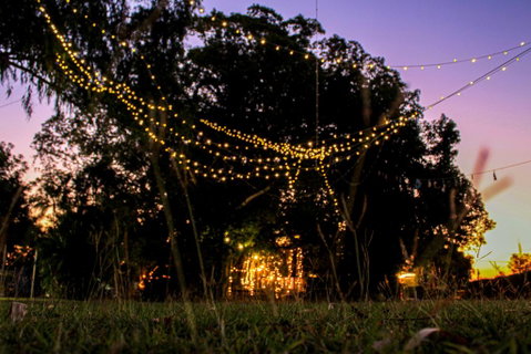 Banyan Tree - Australian Directory 0