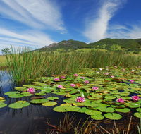 Barrington Hideaway- River Cottages - Australian Directory