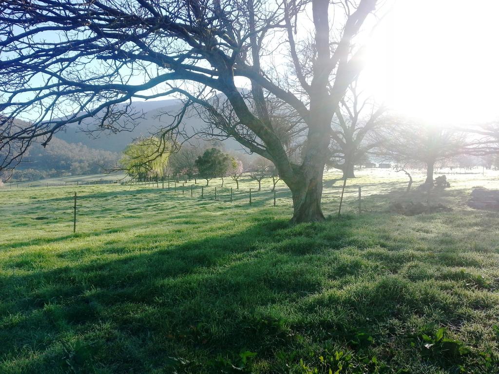 Bethanga VIC Australian Directory