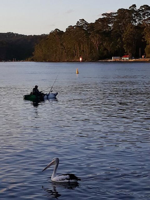 Bay Executive Motel - Australian Directory 2