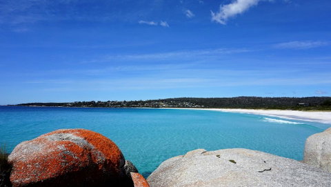 BAY OF FIRES BEACH SHACK Ocean Views From A Modern Beachhouse - Australian Directory 3
