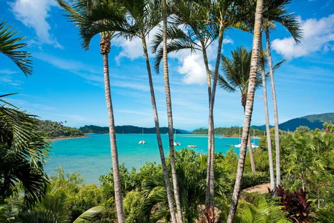 Baybliss Apartments Studio 1 - Australian Directory 2
