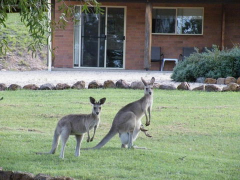 Rubyvale Motel & Holiday Units - An Adults Only Getaway - Australian Directory 3