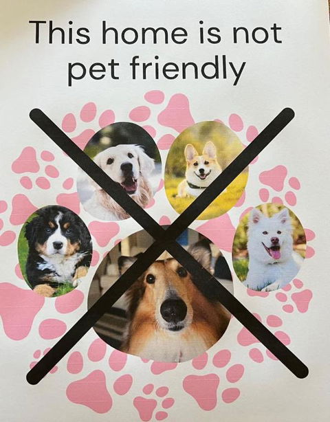 Saltwater Bungalow - WiFi - Australian Directory 1