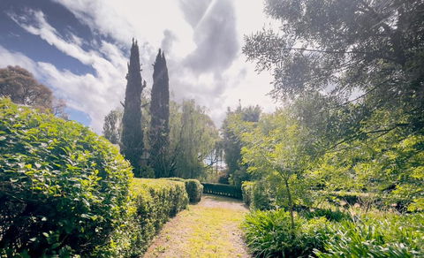 Sanctuary Park Cottages - Australian Directory 1