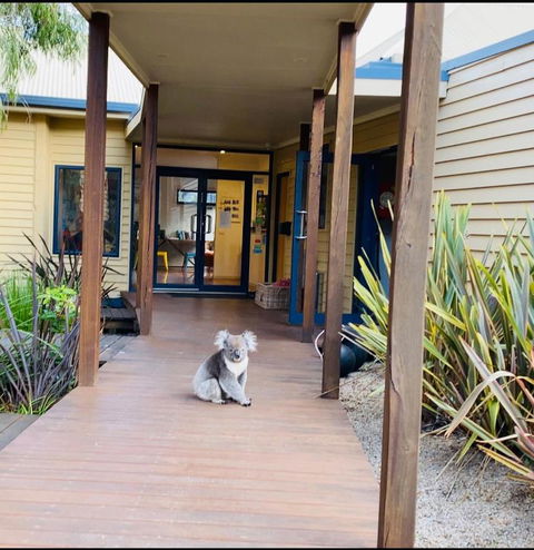 Sandpiper Motel Apollo Bay - Australian Directory 3