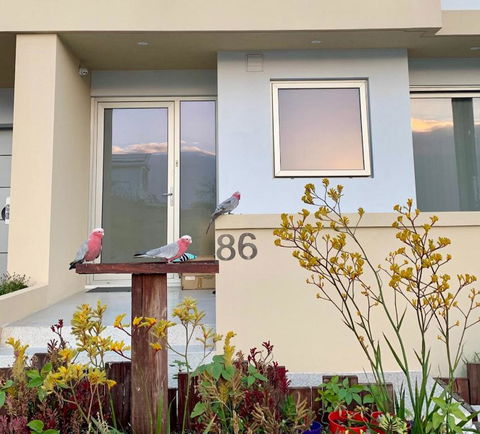 Sorrento Bluewater Apartment - Australian Directory 2
