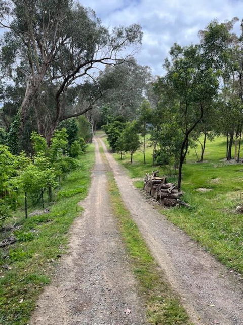 Spacious 4 Bed, 2 Lounge, 2 Bath, Acre Home With Tree Top Views - Yarra Valley Gateway! - Australian Directory 0