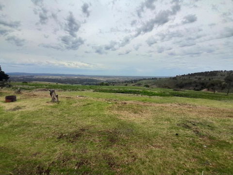 Stay At Swans - Australian Directory 3