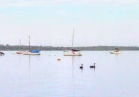 Beautiful, Peaceful Estuary Views, Five Star Quantity - Australian Directory 3