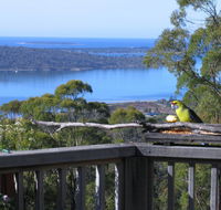 Bed in the Treetops BB - Australian Directory