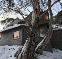 Belltrees - Australian Directory