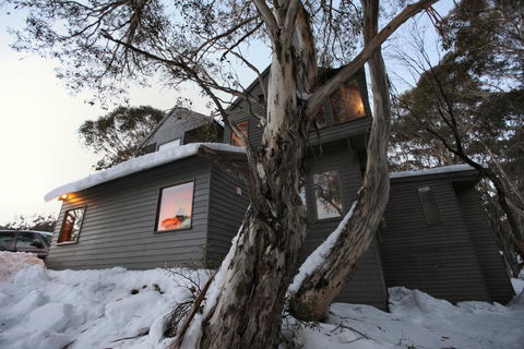 Belltrees - Australian Directory 0