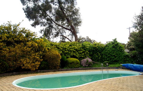 Bendigo Motor Inn - Australian Directory 3