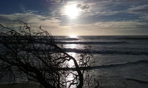 BIG4 Nambucca Beach Holiday Park - Australian Directory 3