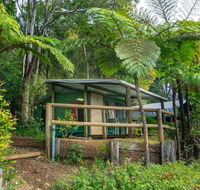 Binna Burra Rainforest Campsite - Australian Directory