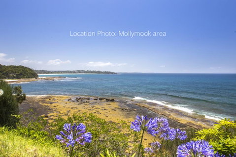 Birchgrove 3 @ 3/5 Murramerang - Australian Directory 1