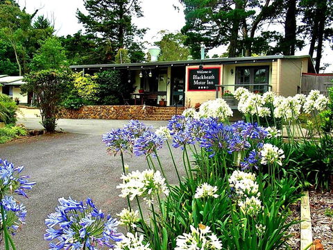 Blackheath Motor Inn - Australian Directory 0