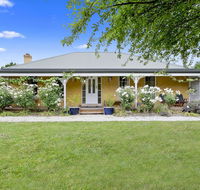 Blue Wren - Australian Directory