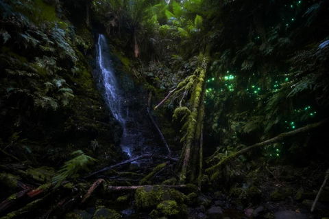 The Source, Otways - Australian Directory 1