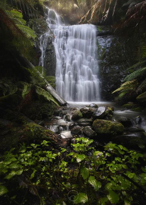 The Source, Otways - Australian Directory 2