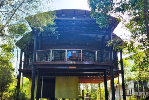 EUROLIE ON HIGH At Kingfisher Bay Fraser Island - Australian Directory 0