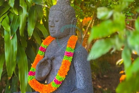 Zenhouse: 6-BR Balinese Tropical Oasis In Nightcliff Central - Australian Directory 3