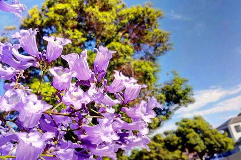 Big Perth (Private) Day Tour - Australian Directory 3