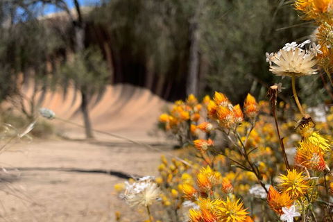 The Big Wave Rock (Private) Day Tour - Australian Directory 3
