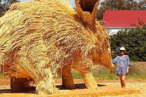 The Big Wave Rock (Private) Day Tour - Australian Directory 5