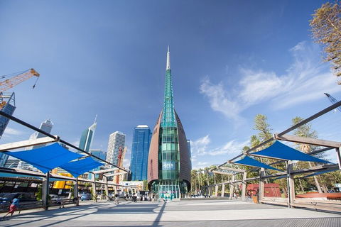 Perth Scavenger Hunt: Perched On A Swan - Australian Directory 3