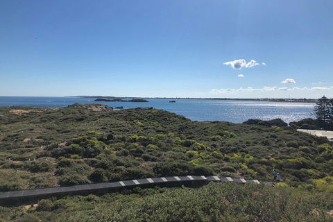 Penguin Island And Fremantle - Canoe, Chocolate & Coffee - Australian Directory 0