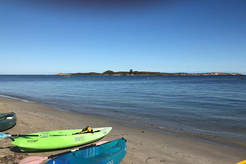 Penguin Island And Fremantle - Canoe, Chocolate & Coffee - Australian Directory 2