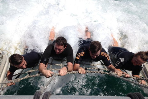 Cruise In Moreton Bay Marine Park And Moreton Island - Australian Directory 0