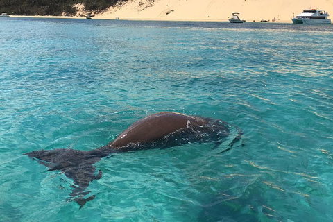 Cruise In Moreton Bay Marine Park And Moreton Island - Australian Directory 2